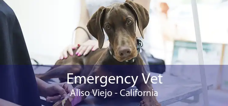 Emergency Vet Aliso Viejo - California