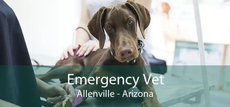 Emergency Vet Allenville - Arizona