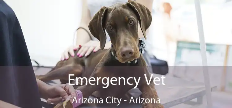 Emergency Vet Arizona City - Arizona