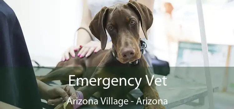 Emergency Vet Arizona Village - Arizona