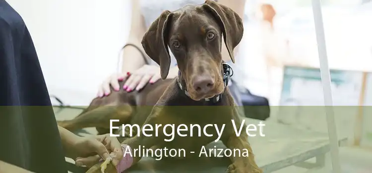 Emergency Vet Arlington - Arizona