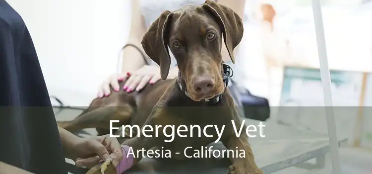 Emergency Vet Artesia - California