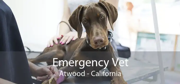Emergency Vet Atwood - California