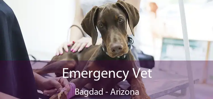 Emergency Vet Bagdad - Arizona