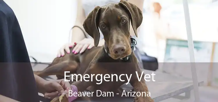 Emergency Vet Beaver Dam - Arizona