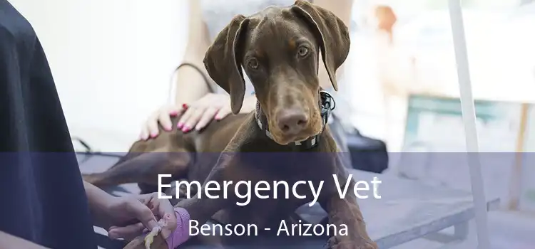 Emergency Vet Benson - Arizona