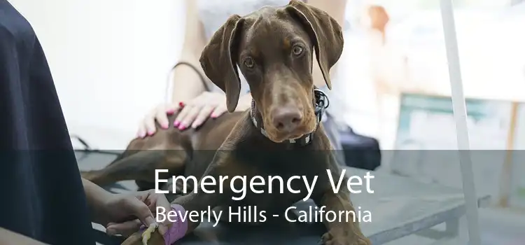 Emergency Vet Beverly Hills - California