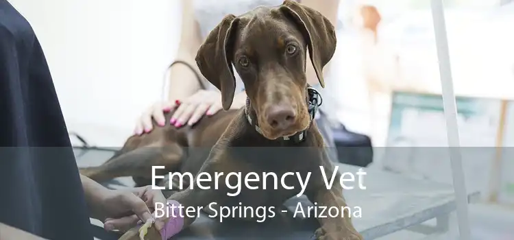 Emergency Vet Bitter Springs - Arizona