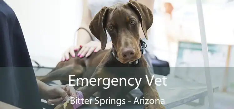 Emergency Vet Bitter Springs - Arizona