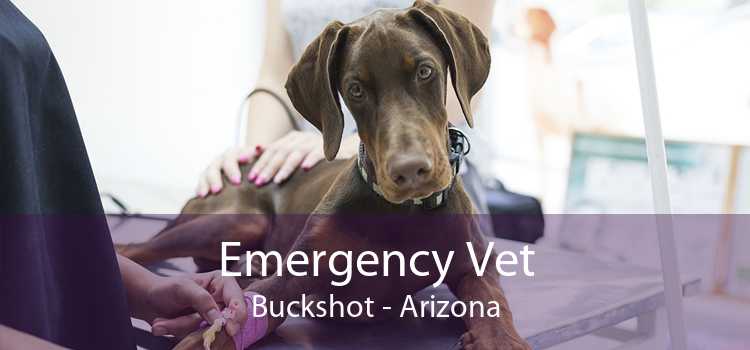 Emergency Vet Buckshot - Arizona