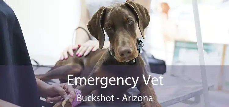 Emergency Vet Buckshot - Arizona