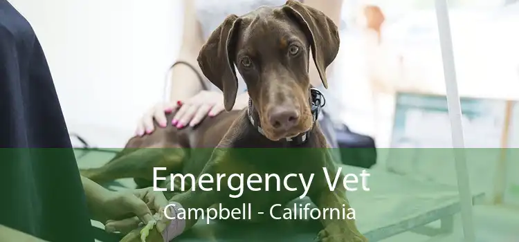 Emergency Vet Campbell - California