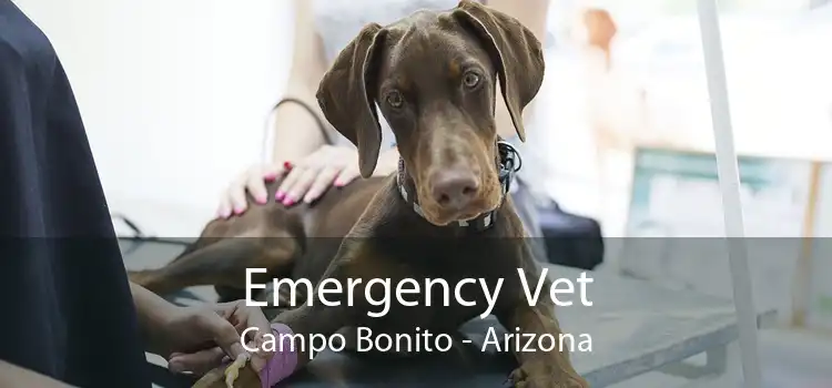 Emergency Vet Campo Bonito - Arizona