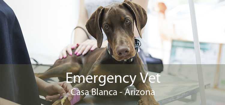 Emergency Vet Casa Blanca - Arizona
