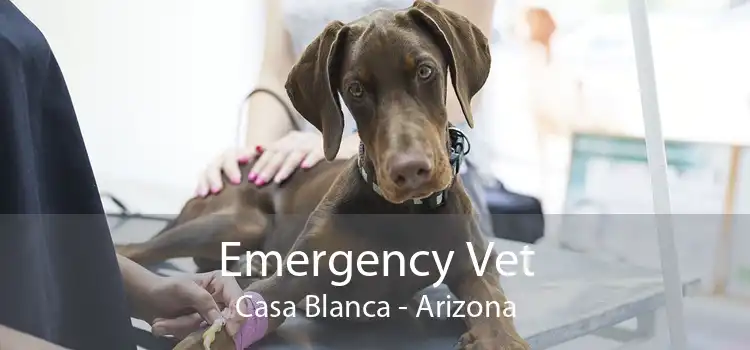 Emergency Vet Casa Blanca - Arizona