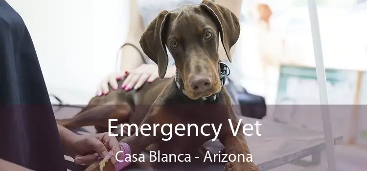 Emergency Vet Casa Blanca - Arizona