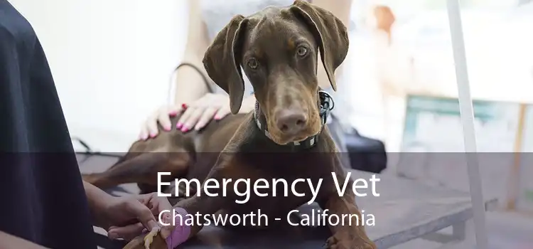 Emergency Vet Chatsworth - California