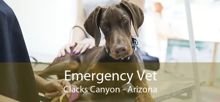 Emergency Vet Clacks Canyon - Arizona