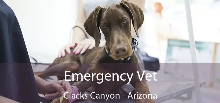 Emergency Vet Clacks Canyon - Arizona