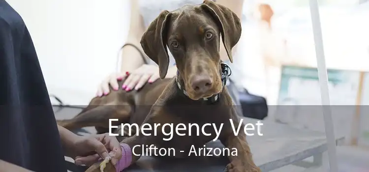 Emergency Vet Clifton - Arizona