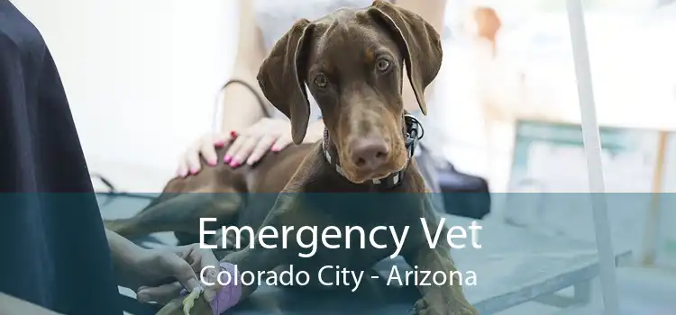 Emergency Vet Colorado City - Arizona