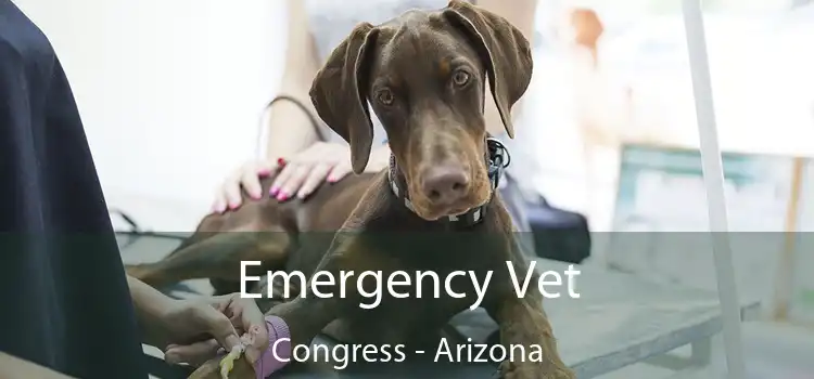 Emergency Vet Congress - Arizona