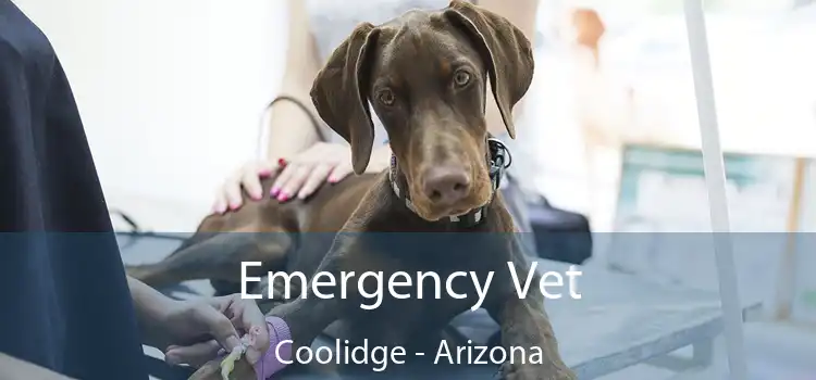 Emergency Vet Coolidge - Arizona