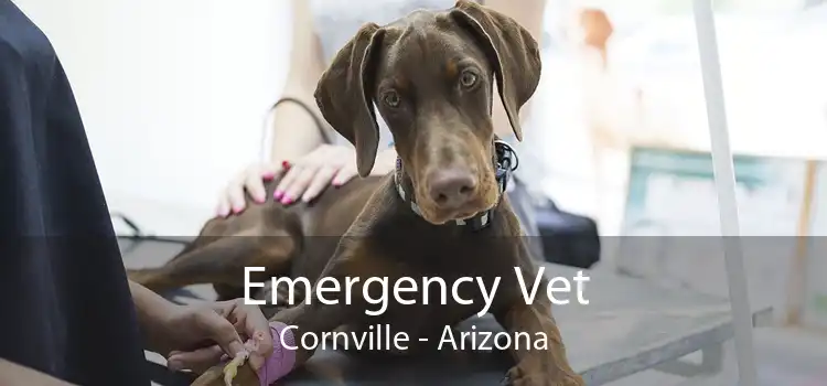 Emergency Vet Cornville - Arizona