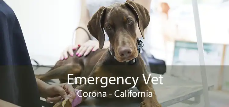 Emergency Vet Corona - California