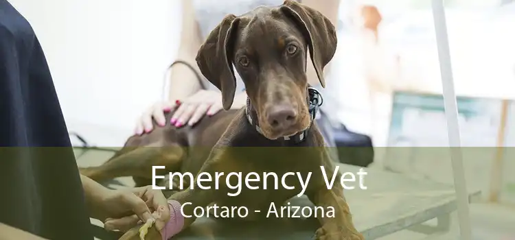 Emergency Vet Cortaro - Arizona