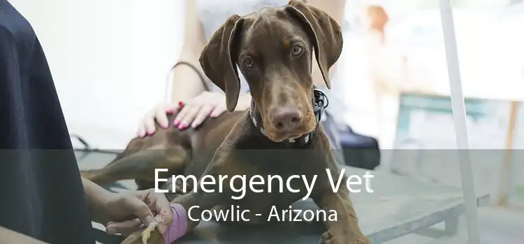 Emergency Vet Cowlic - Arizona