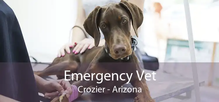 Emergency Vet Crozier - Arizona