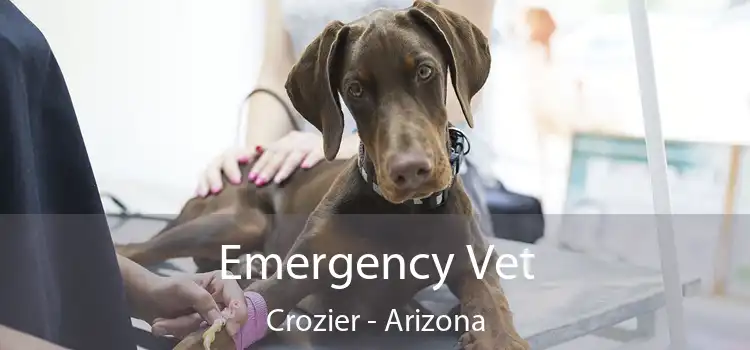 Emergency Vet Crozier - Arizona