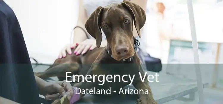 Emergency Vet Dateland - Arizona