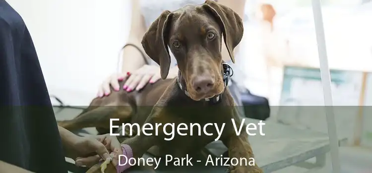 Emergency Vet Doney Park - Arizona