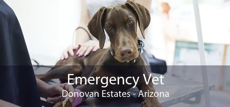 Emergency Vet Donovan Estates - Arizona