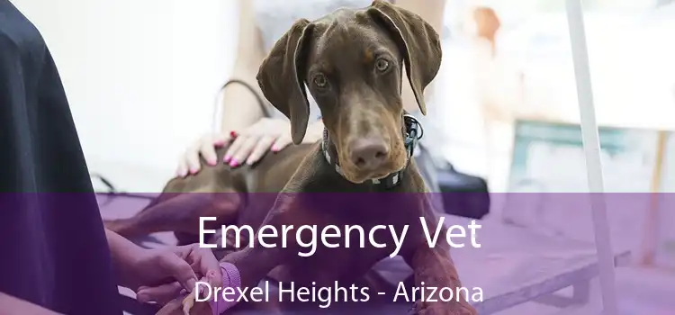 Emergency Vet Drexel Heights - Arizona