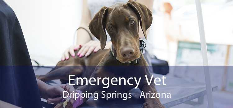 Emergency Vet Dripping Springs - Arizona