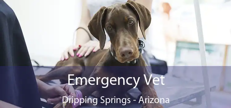 Emergency Vet Dripping Springs - Arizona