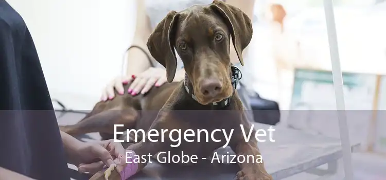 Emergency Vet East Globe - Arizona