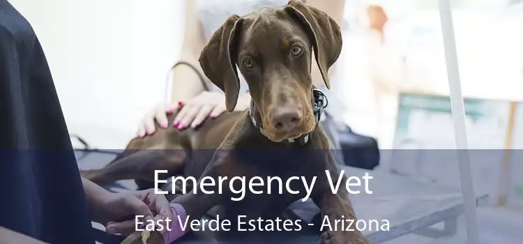 Emergency Vet East Verde Estates - Arizona