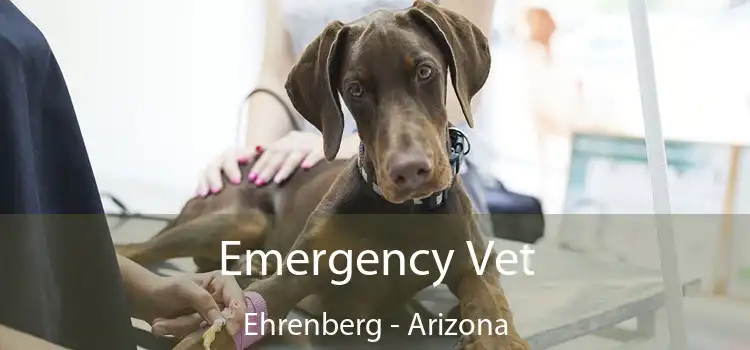 Emergency Vet Ehrenberg - Arizona