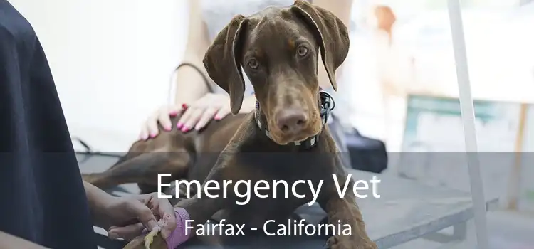 Emergency Vet Fairfax - California