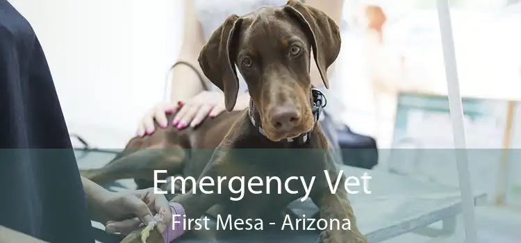 Emergency Vet First Mesa - Arizona