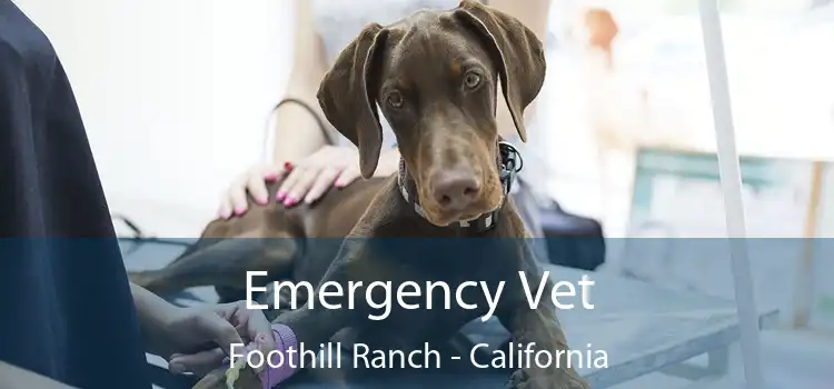 Emergency Vet Foothill Ranch - California