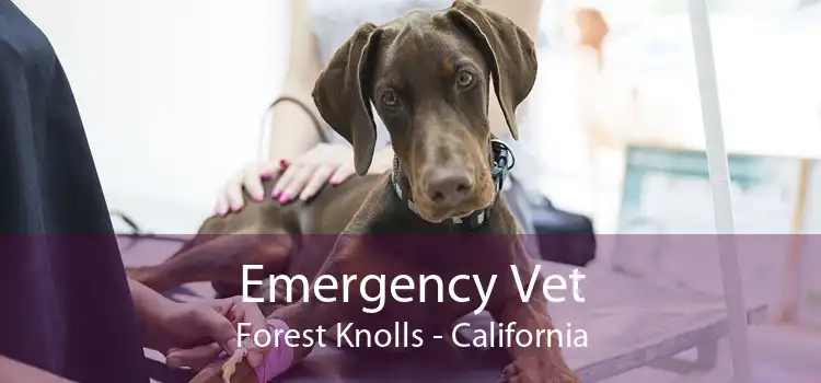 Emergency Vet Forest Knolls - California