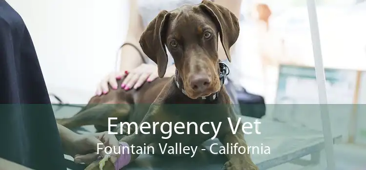 Emergency Vet Fountain Valley - California