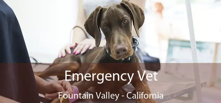 Emergency Vet Fountain Valley - California