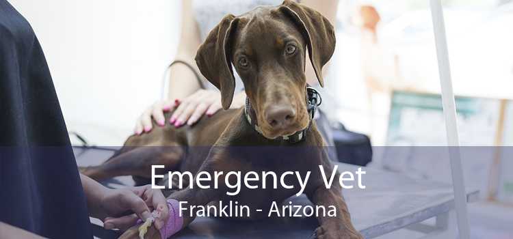 Emergency Vet Franklin - Arizona