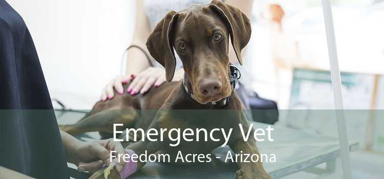 Emergency Vet Freedom Acres - Arizona